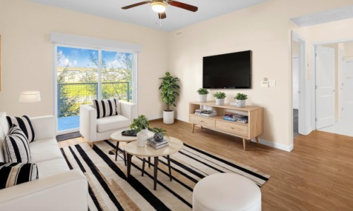 Open space living area with natural lighting